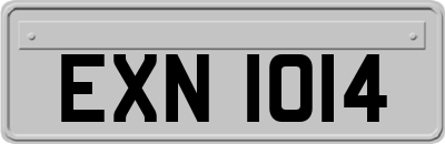 EXN1014