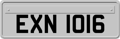 EXN1016