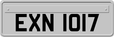 EXN1017