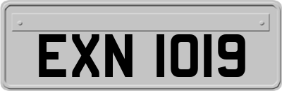 EXN1019