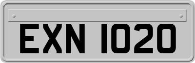 EXN1020