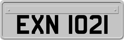 EXN1021