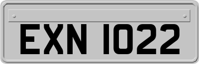 EXN1022