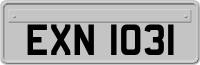 EXN1031