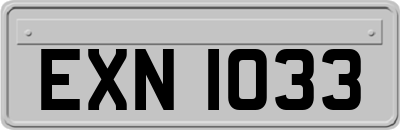 EXN1033