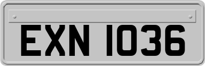 EXN1036