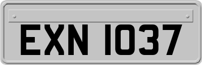 EXN1037