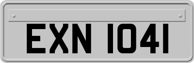 EXN1041