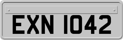 EXN1042