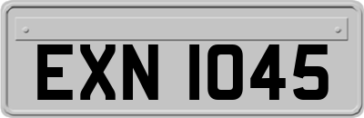 EXN1045