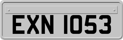 EXN1053