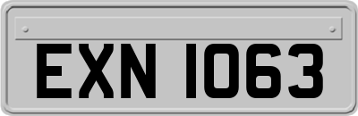 EXN1063