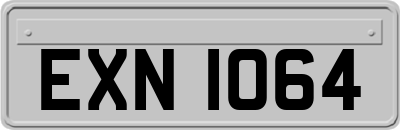 EXN1064