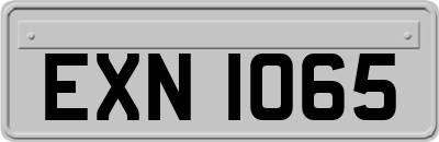 EXN1065