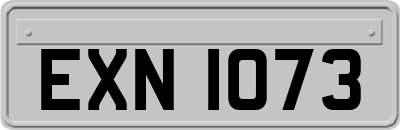 EXN1073