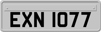 EXN1077