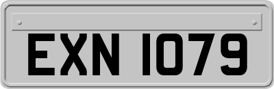 EXN1079