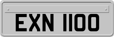 EXN1100