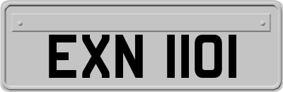 EXN1101