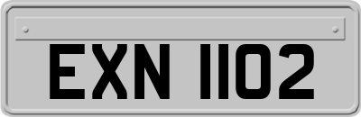 EXN1102