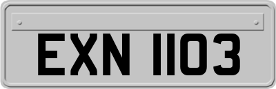 EXN1103