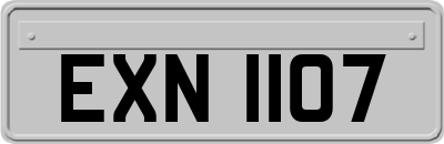 EXN1107