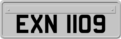 EXN1109