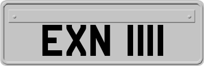 EXN1111