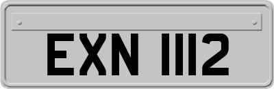 EXN1112