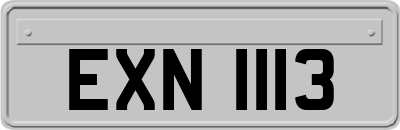 EXN1113