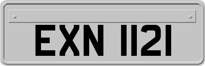 EXN1121