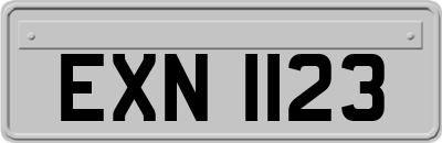 EXN1123