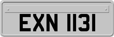 EXN1131