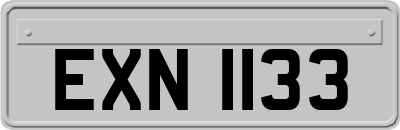 EXN1133
