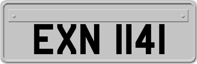 EXN1141