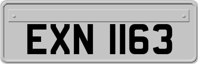 EXN1163