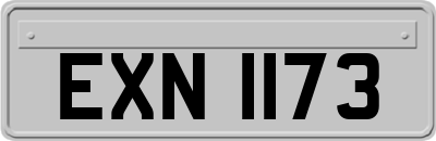 EXN1173