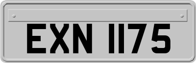 EXN1175