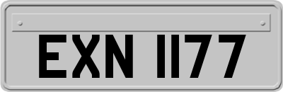 EXN1177