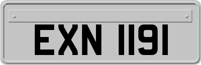 EXN1191