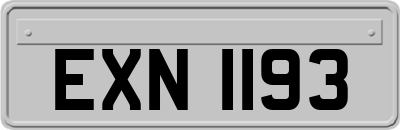 EXN1193