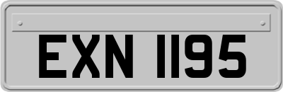 EXN1195