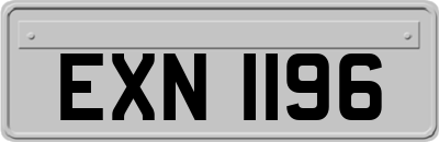EXN1196
