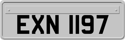EXN1197