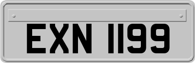 EXN1199