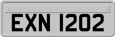 EXN1202