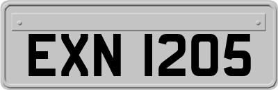 EXN1205