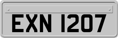 EXN1207