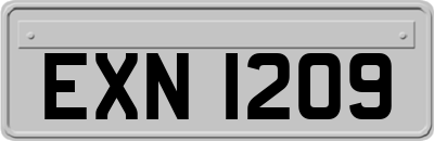 EXN1209