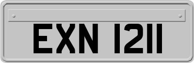 EXN1211